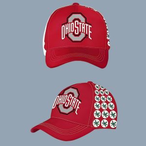LeBron James Ohio State 3D Printed Hat